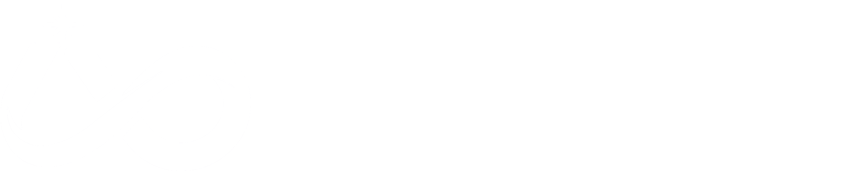 支队图标